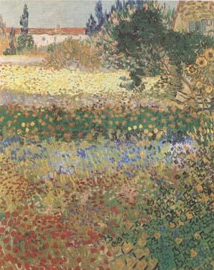 Vincent Van Gogh Garden in Bloom (mk09) Norge oil painting art